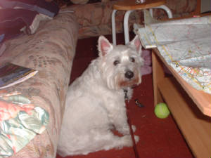 dscf0171.jpg