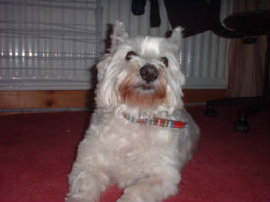 dscf0173.jpg