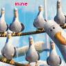 msndollzu_1373818024.gif